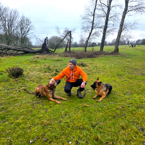 Dog Training Staffordshire